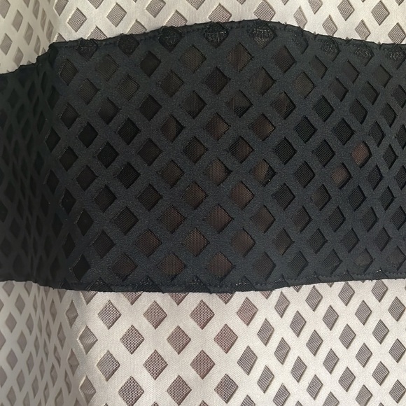 Elizabeth and James Leda Lattice Mesh Crop Top - Picture 10 of 10